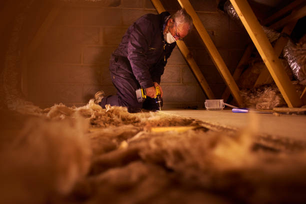 Eco-Friendly or Green Insulation Solutions in Pleasant Valley, WV